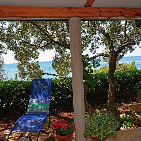 Sea Side Apartment Murter Zewnętrze zdjęcie