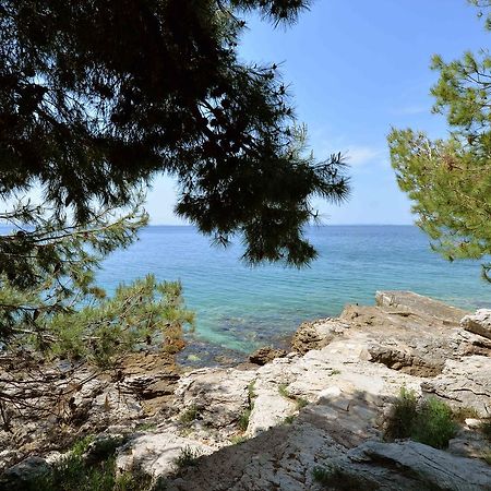 Sea Side Apartment Murter Zewnętrze zdjęcie
