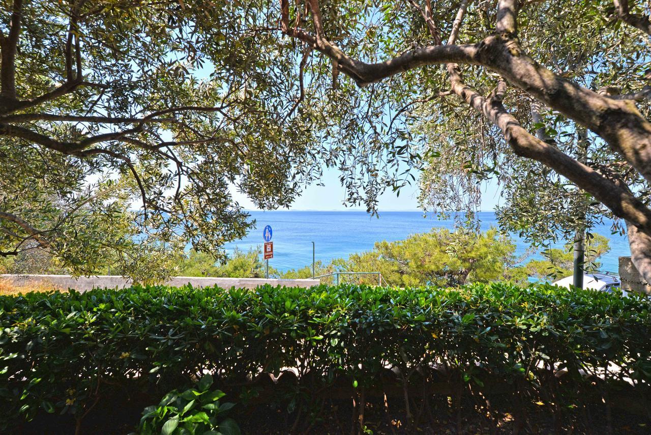 Sea Side Apartment Murter Zewnętrze zdjęcie